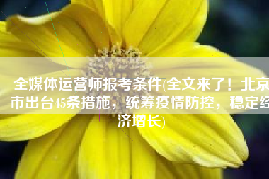全媒体运营师报考条件(全文来了！北京市出台45条措施，统筹疫情防控，稳定经济增长)