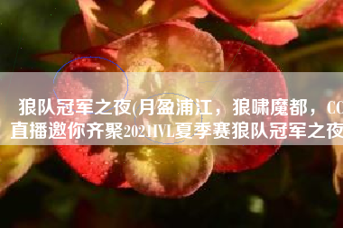 狼队冠军之夜(月盈浦江，狼啸魔都，CC直播邀你齐聚2021IVL夏季赛狼队冠军之夜)