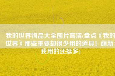 我的世界物品大全图片高清(盘点《我的世界》那些重要却很少用的道具！萌新：我用的还挺多)
