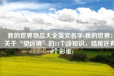 我的世界物品大全英文名字(我的世界：关于“望远镜”的11个冷知识，结尾还有一个彩蛋)
