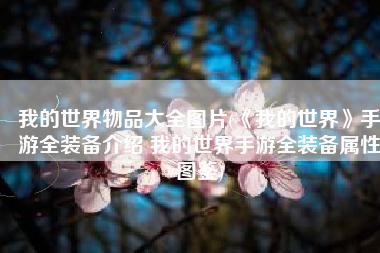 我的世界物品大全图片(《我的世界》手游全装备介绍 我的世界手游全装备属性图鉴)
