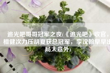 追光吧哥哥冠军之夜(《追光吧》收官，檀健次力压胡夏获总冠军，李汶翰早早出局太意外)