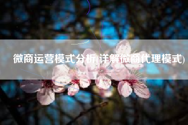微商运营模式分析(详解微商代理模式)