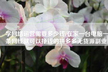 学网络运营需要多少钱(在家一台电脑一条网线就可以挣钱的拼多多无货源副业)