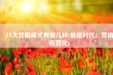八大营销模式有哪几种(留量时代：营销运营化)