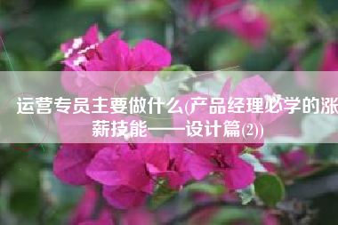 运营专员主要做什么(产品经理必学的涨薪技能——设计篇(2))