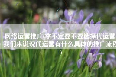 网络运营推广(拿不定要不要选择代运营，我们来说说代运营有什么具体的推广流程)