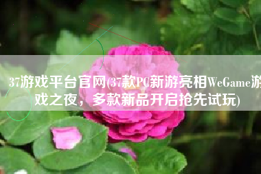 37游戏平台官网(37款PC新游亮相WeGame游戏之夜，多款新品开启抢先试玩)