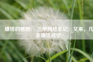 赚钱的感悟(陳三甲网络笔记：又来，几条赚钱感悟)