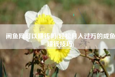 闲鱼网可以赚钱吗(轻松月入过万的咸鱼赚钱技巧)