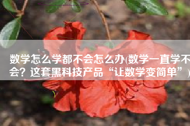 数学怎么学都不会怎么办(数学一直学不会？这套黑科技产品“让数学变简单”)