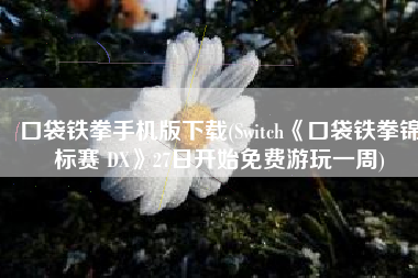 口袋铁拳手机版下载(Switch《口袋铁拳锦标赛 DX》27日开始免费游玩一周)