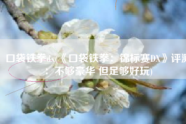 口袋铁拳dx(《口袋铁拳：锦标赛DX》评测：不够豪华 但足够好玩)
