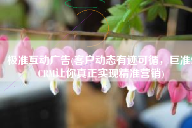 极准互动广告(客户动态有迹可循，巨准SCRM让你真正实现精准营销)