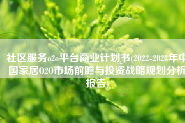 社区服务o2o平台商业计划书(2022-2028年中国家居O2O市场前瞻与投资战略规划分析报告)