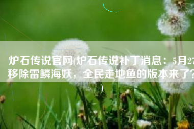 炉石传说官网(炉石传说补丁消息：5月27移除雷鳞海妖，全民走地鱼的版本来了？)