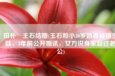 田朴珺王石结婚(王石和小30岁娇妻被曝生娃，3年前公开婚讯，女方说身家超过老公)