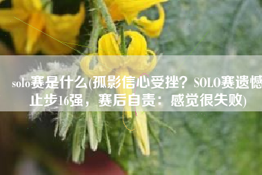 solo赛是什么(孤影信心受挫？SOLO赛遗憾止步16强，赛后自责：感觉很失败)