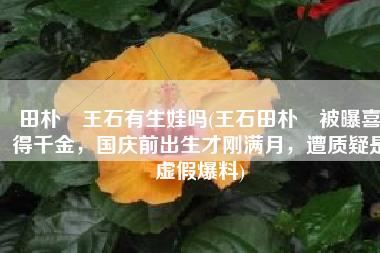 田朴珺王石有生娃吗(王石田朴珺被曝喜得千金，国庆前出生才刚满月，遭质疑是虚假爆料)