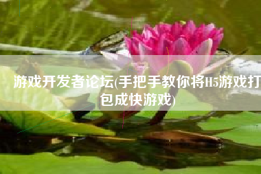 游戏开发者论坛(手把手教你将H5游戏打包成快游戏)