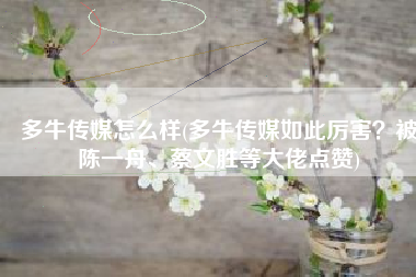 多牛传媒怎么样(多牛传媒如此厉害？被陈一舟、蔡文胜等大佬点赞)