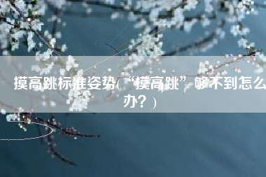 摸高跳标准姿势(“摸高跳”够不到怎么办？)