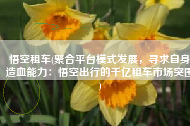 悟空租车(聚合平台模式发展，寻求自身造血能力：悟空出行的千亿租车市场突围)