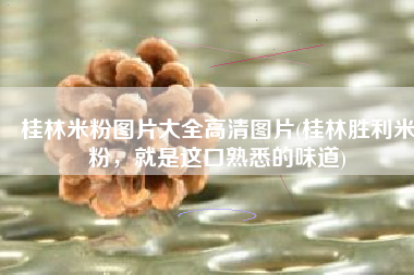 桂林米粉图片大全高清图片(桂林胜利米粉，就是这口熟悉的味道)