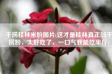 干捞桂林米粉图片(这才是桂林真正的干捞粉，太好吃了，一口气我能吃半斤)