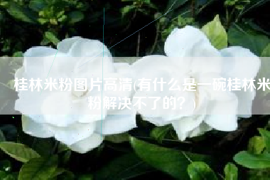 桂林米粉图片高清(有什么是一碗桂林米粉解决不了的？)