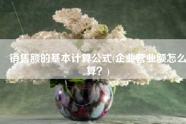 销售额的基本计算公式(企业营业额怎么算？)