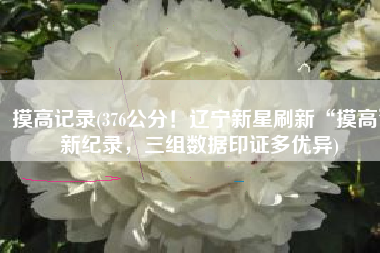 摸高记录(376公分！辽宁新星刷新“摸高”新纪录，三组数据印证多优异)