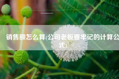 销售额怎么算(公司老板要牢记的计算公式)