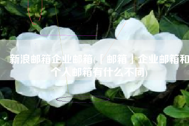 新浪邮箱企业邮箱(「邮箱」企业邮箱和个人邮箱有什么不同)