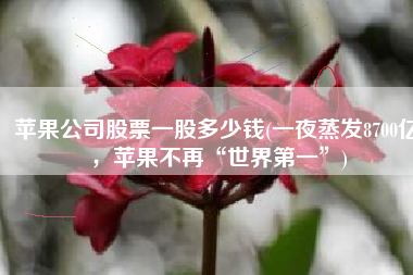 苹果公司股票一股多少钱(一夜蒸发8700亿，苹果不再“世界第一”)
