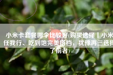 小米卡套餐哪个比较好(购买选择丨小米任我行、吃到饱完美搭档，犹豫再三选择了前者)