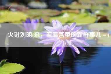 火钳刘明(来，看看宫里的新鲜事儿～)