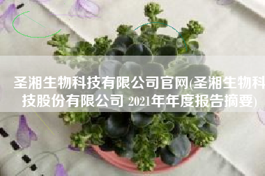 圣湘生物科技有限公司官网(圣湘生物科技股份有限公司 2021年年度报告摘要)