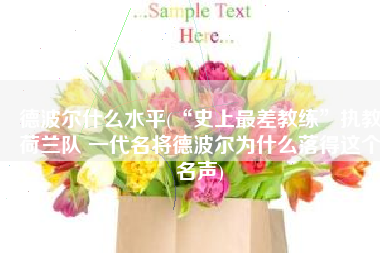 德波尔什么水平(“史上最差教练”执教荷兰队 一代名将德波尔为什么落得这个名声)