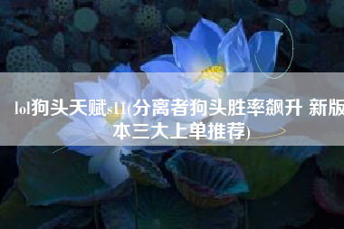 lol狗头天赋s11(分离者狗头胜率飙升 新版本三大上单推荐)