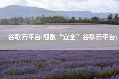 谷歌云平台(细数“安全”谷歌云平台)