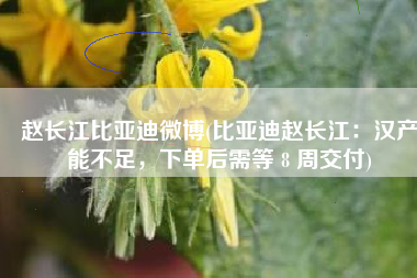 赵长江比亚迪微博(比亚迪赵长江：汉产能不足，下单后需等 8 周交付)
