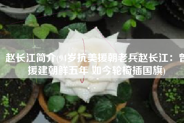 赵长江简介(94岁抗美援朝老兵赵长江：曾援建朝鲜五年 如今轮椅插国旗)