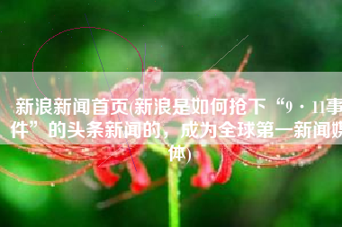 新浪新闻首页(新浪是如何抢下“9·11事件”的头条新闻的，成为全球第一新闻媒体)