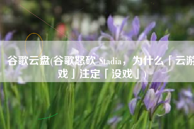 谷歌云盘(谷歌怒砍 Stadia，为什么「云游戏」注定「没戏」)