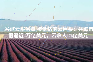 谷歌云服务器(被低估的云巨头：谷歌市值逼近2万亿美元，云收入176亿美元)