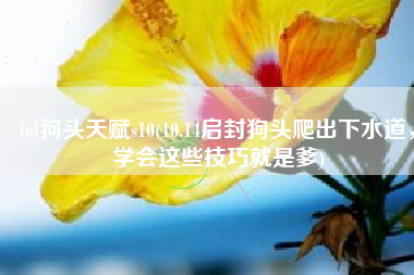 lol狗头天赋s10(10.14启封狗头爬出下水道，学会这些技巧就是爹)