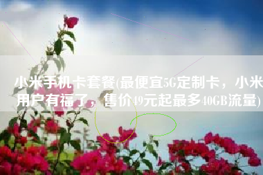 小米手机卡套餐(最便宜5G定制卡，小米用户有福了，售价49元起最多40GB流量)