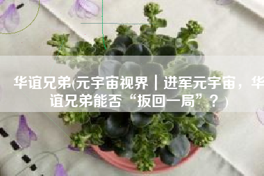 华谊兄弟(元宇宙视界｜进军元宇宙，华谊兄弟能否“扳回一局”？)