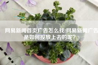 网易新闻首页广告怎么找(网易新闻广告是如何投放上去的呢？)